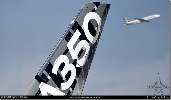 Carbon Tailfin of the demonstration A350