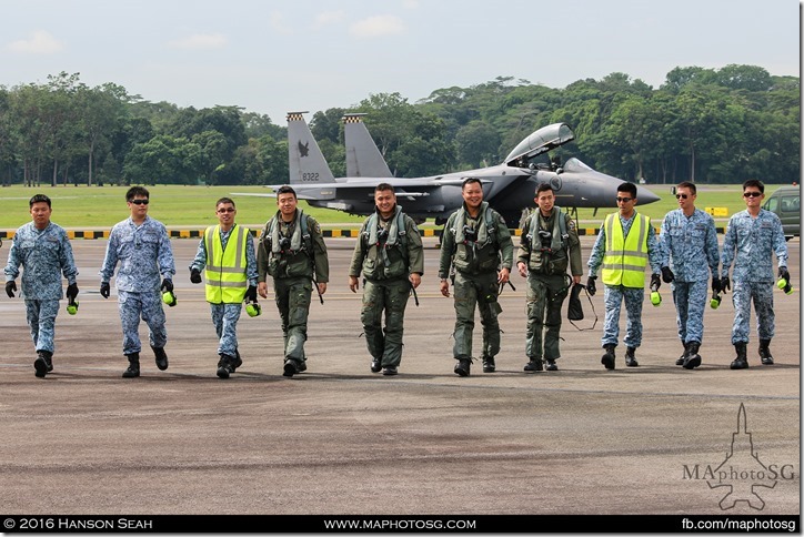 Second Team of Aerial Display Pilots