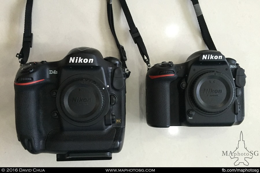 Tested: Nikon D500