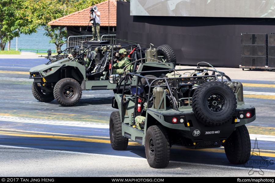 Army Open House 2017 at F1 Pit - Dynamic Defence Display (D3) Show