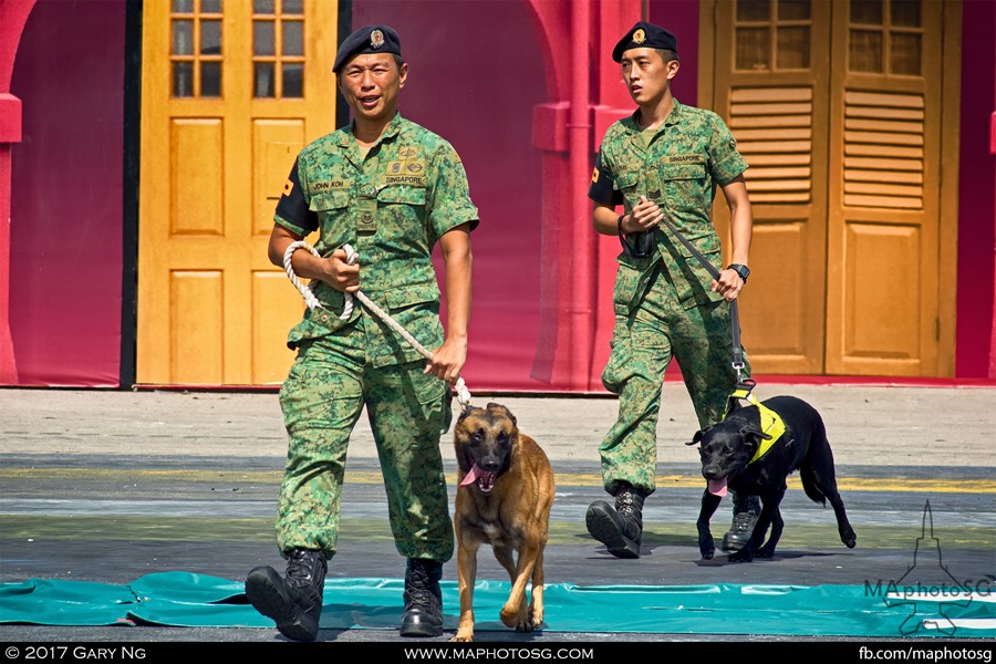 Army Open House 2017 at F1 Pit - Dynamic Defence Display (D3) Show