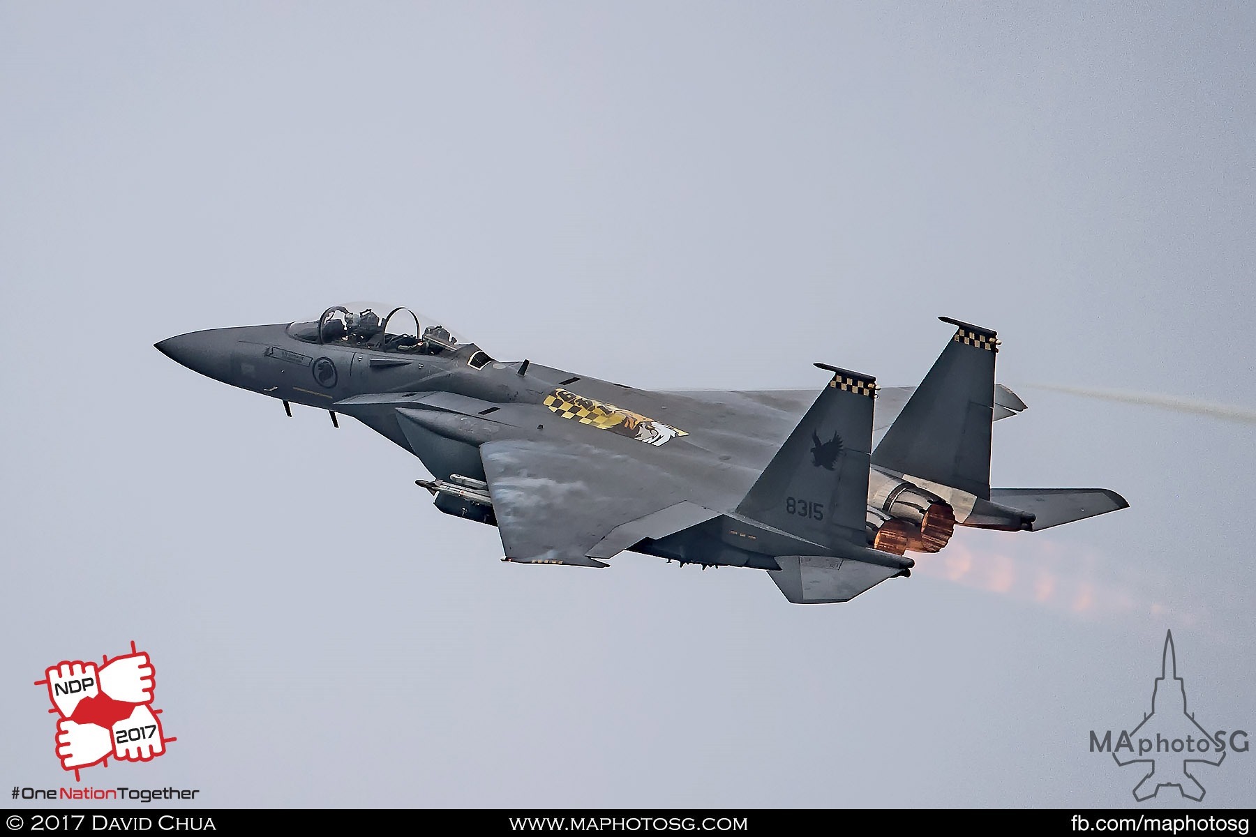 24. Lead aircraft of the bomb burst flown by Commanding Officer 149 Squadron, SLTC Goh Sim Aik and WSO CPT Desmond Tan in is this special 149SQN airbrake livery F-15SG.