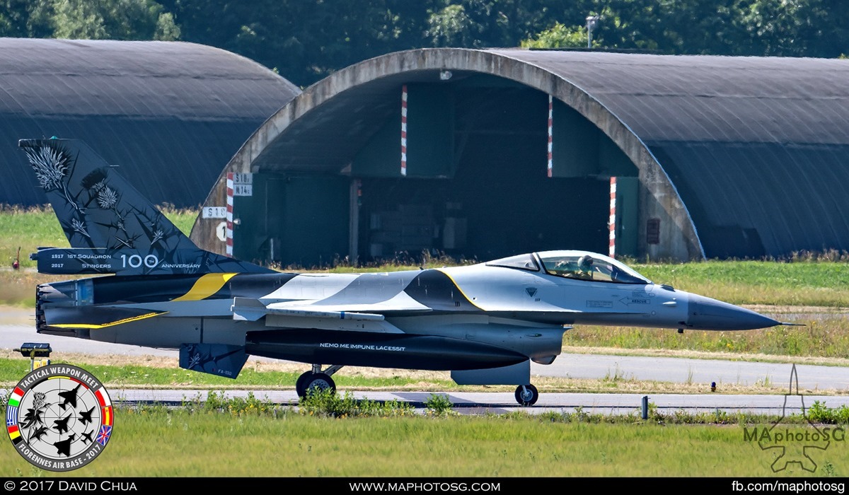 2. 1st Squadron “Stinger” 100th Anniversary special livery F-16A MLU (FA-132).