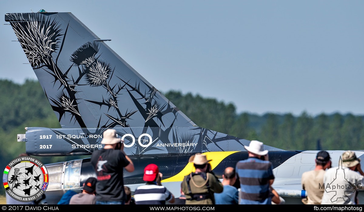 3. Tail Fin details of the 100th Anniversary F-16A MLU of 1st Squadron “Stingers” as it taxis past a line of spotters. 