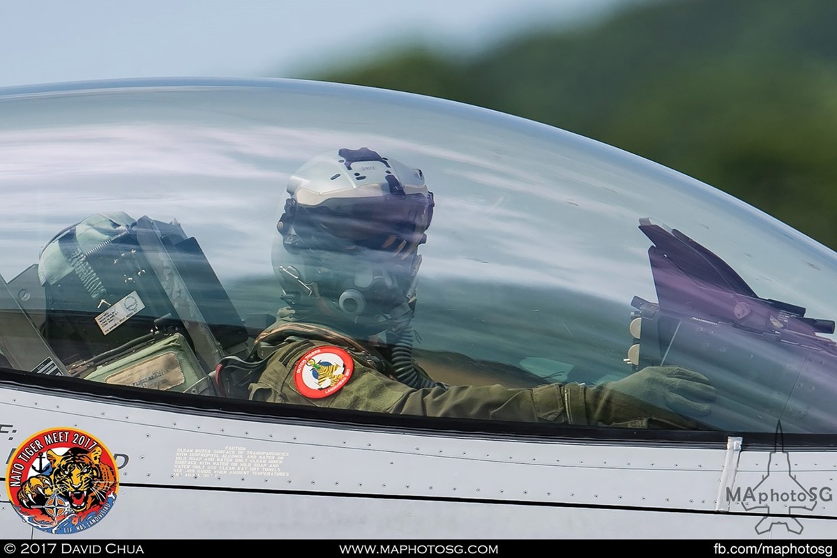 Royal Netherlands Air Force 313 Squadron F-16A MLU Fighting Falcon (J-015)