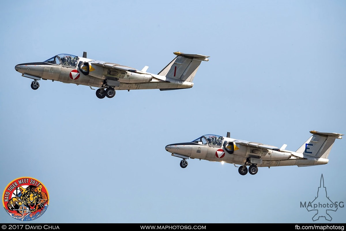 Austrian Air Force 1 Jet Trainer Squadron Saab 105Ö (I) and (E)