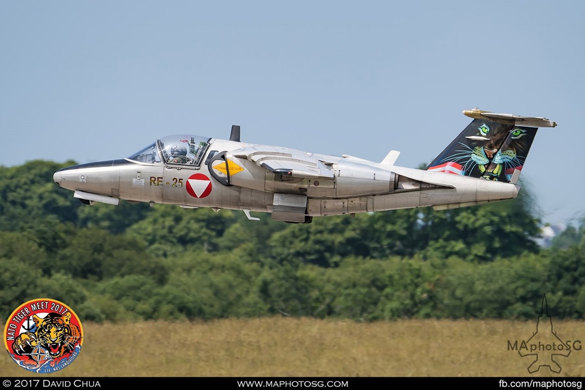 Austrian Air Force 1 Jet Trainer Squadron Saab 105Ö (RE-25)