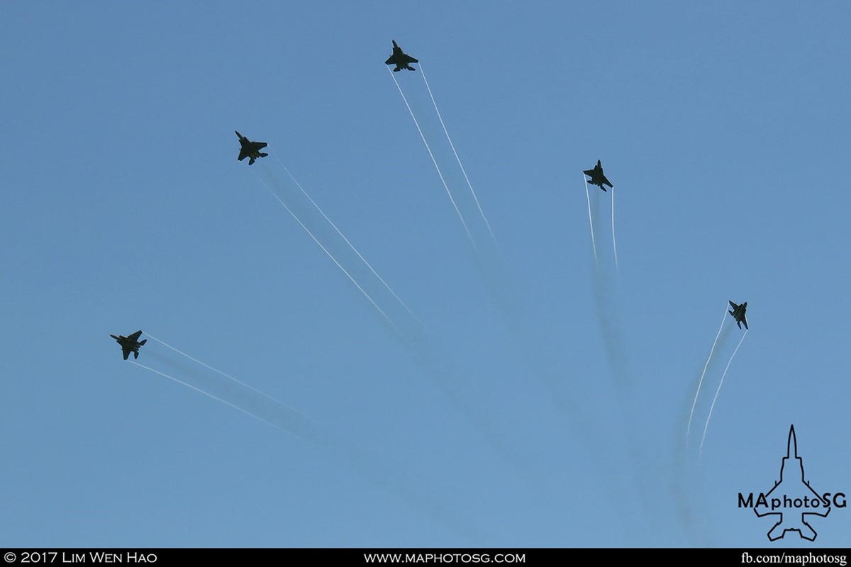 RSAF F-15SGs saluting the nations during the combined RSAF - TNII flypast.