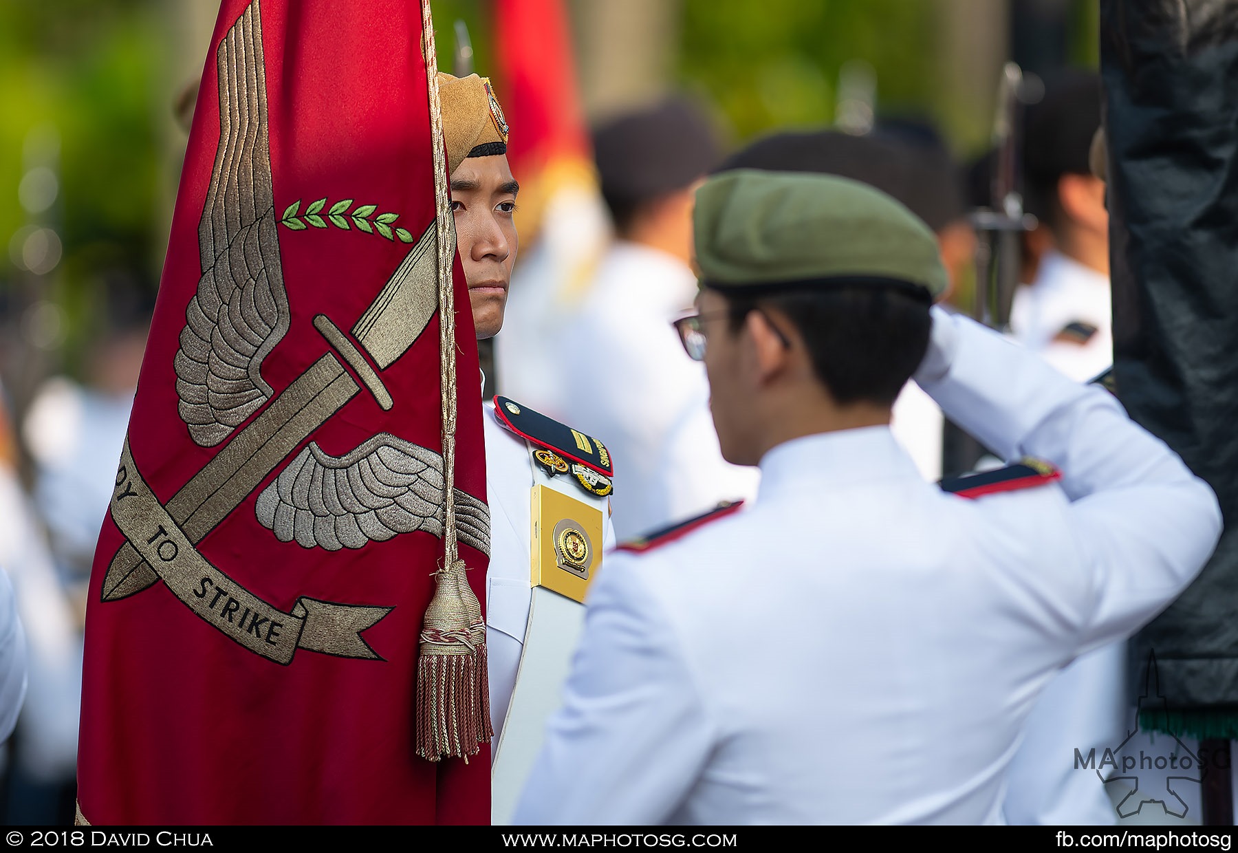 11. Regimental Colours of the Guards Formation.