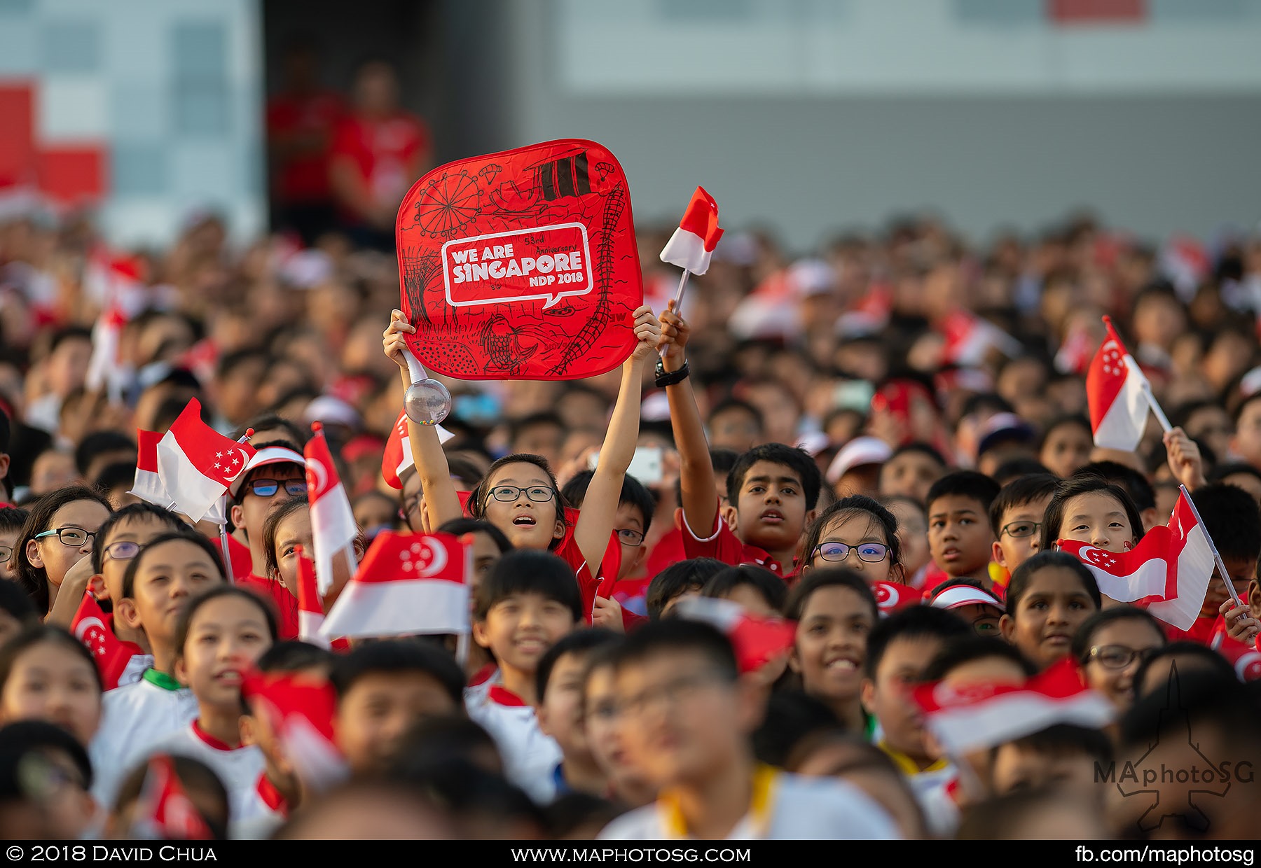 15. A member of the 25000 strong audience holds up the "We Are Singapore" placard.