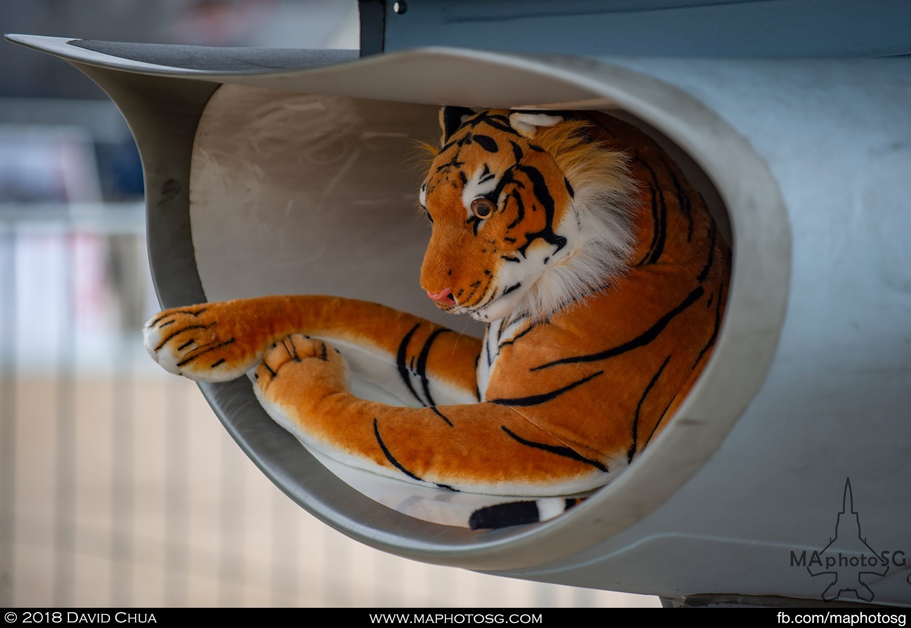 06. Tiger in the air intake of the Polish Air Force F-16 