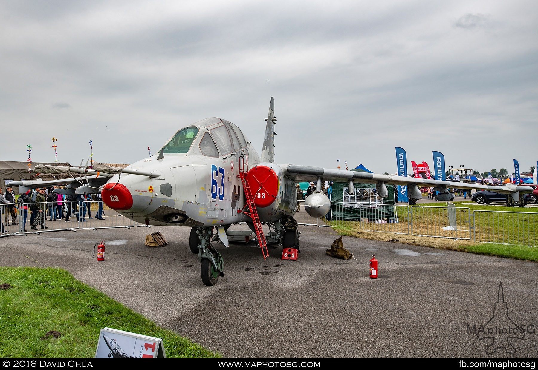 08. Ukranian Air Force Su-25 Frogfoot at static display