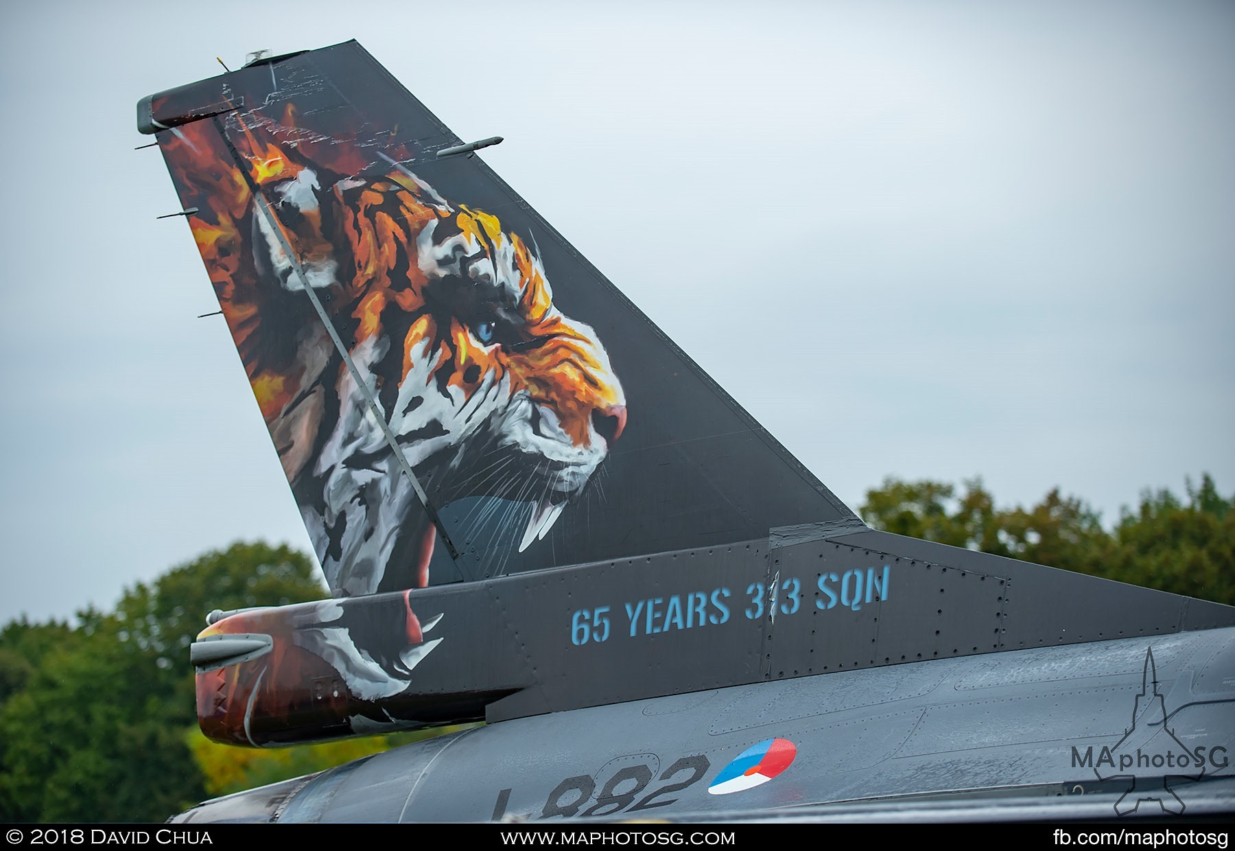 14. Tailflash of the Royal Netherlands Air Force F-16 celebrating 65 years of 313 Squadron