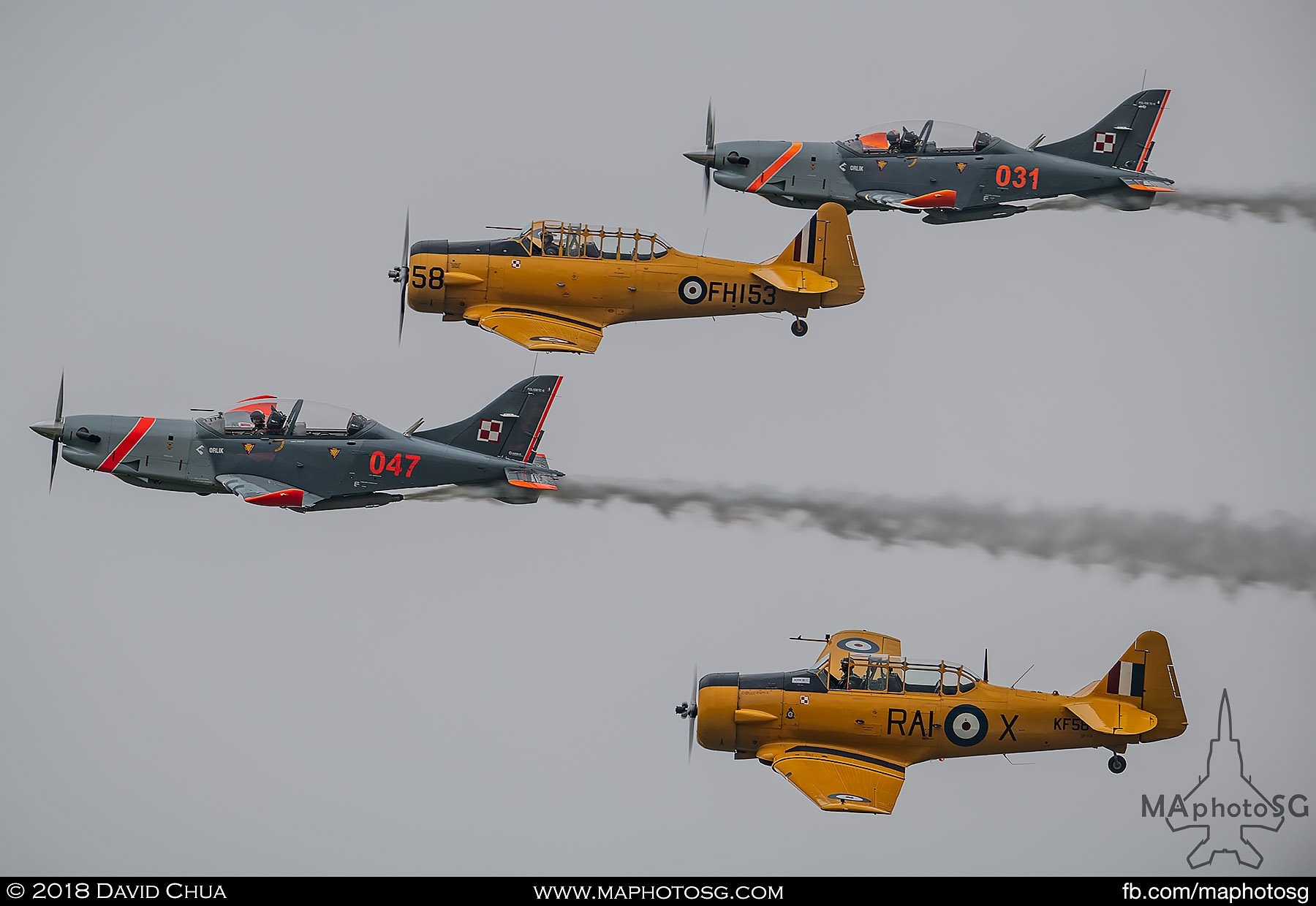 18. T6 Harwards and Team Orlik PZL-130s