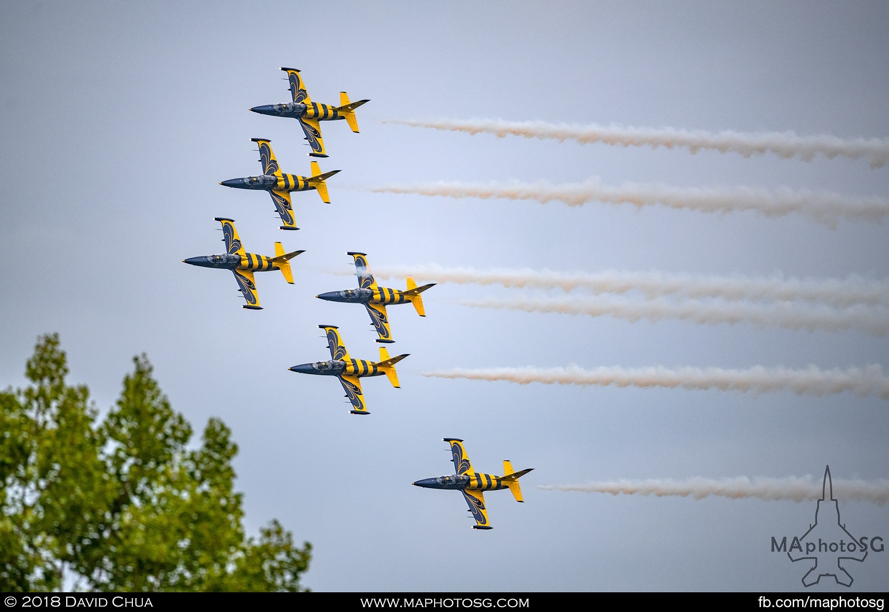 46. Aero L-39Cs of the Baltic Bees Jet Team