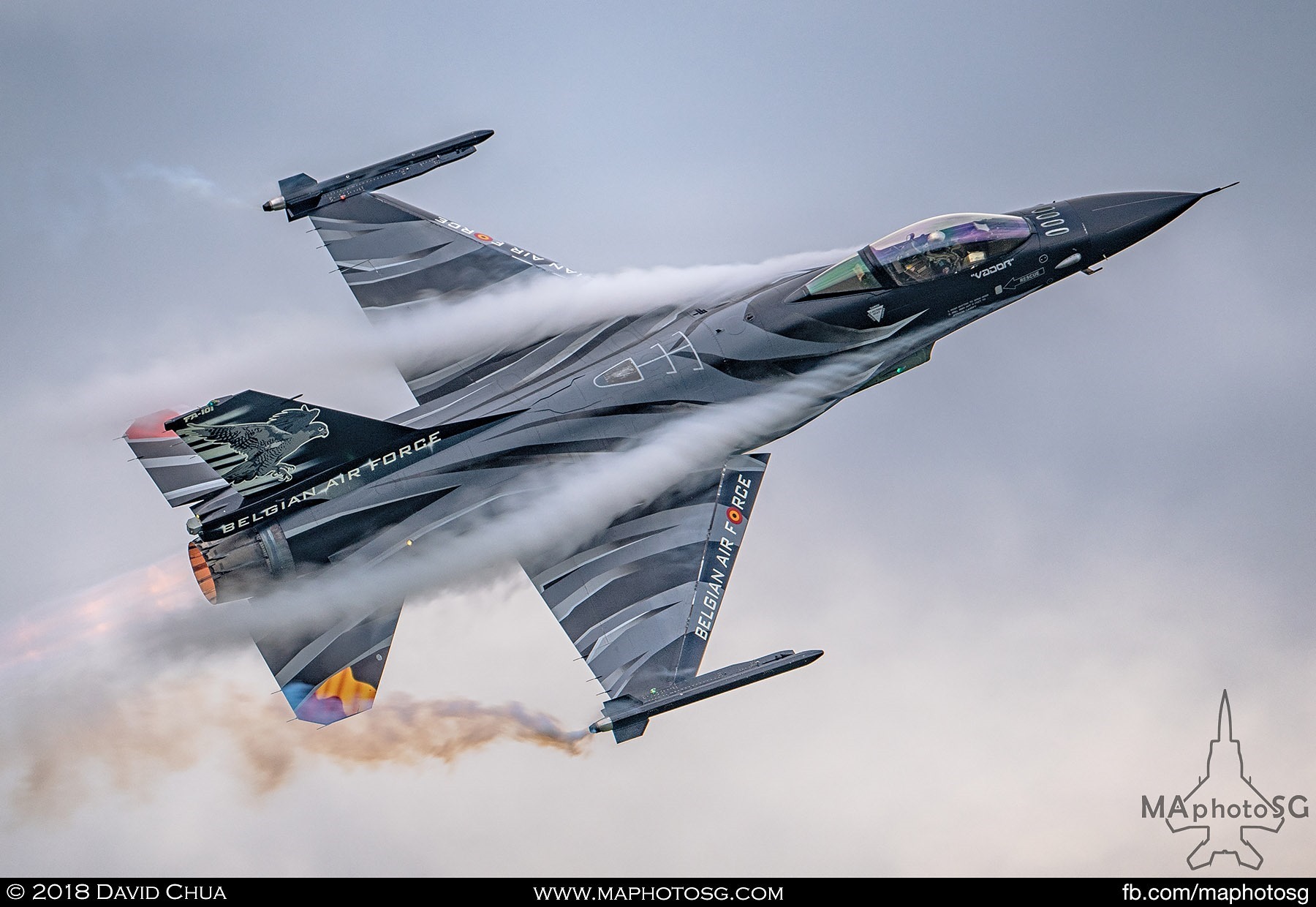 50. Dark Falcon of the Belgium Air Force F-16 Solo Display Team piloted by Vador