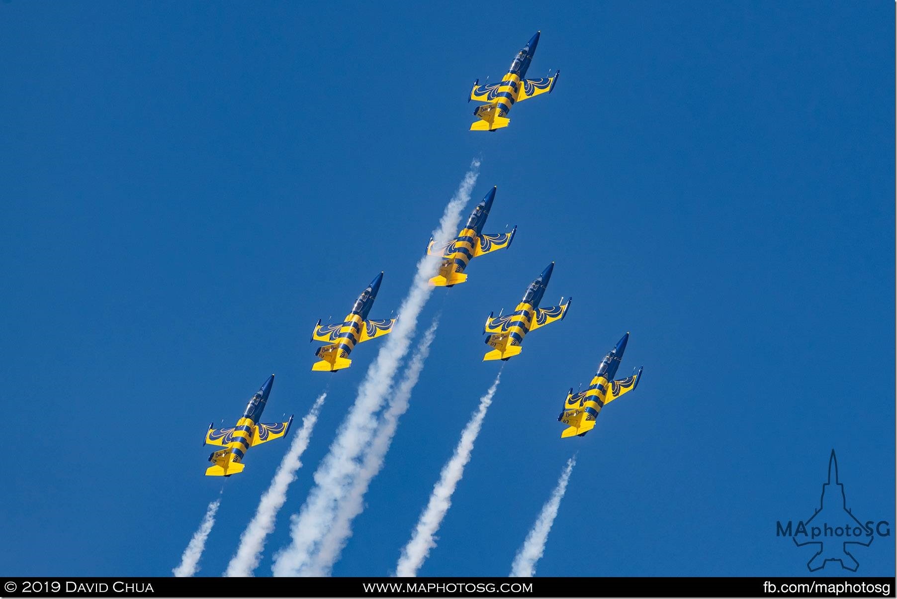 Baltic Bees aerobatic team