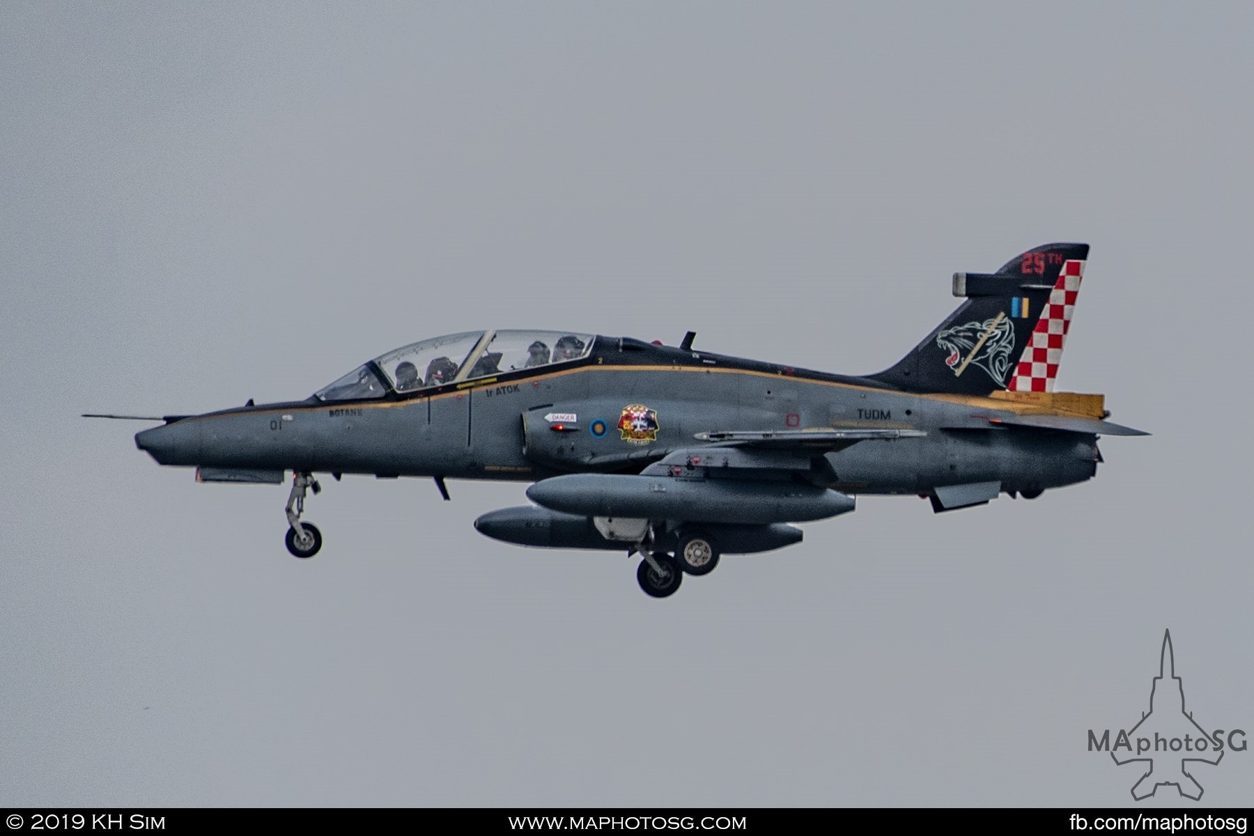 Royal Malaysian Air Force Hawk (M40-01)