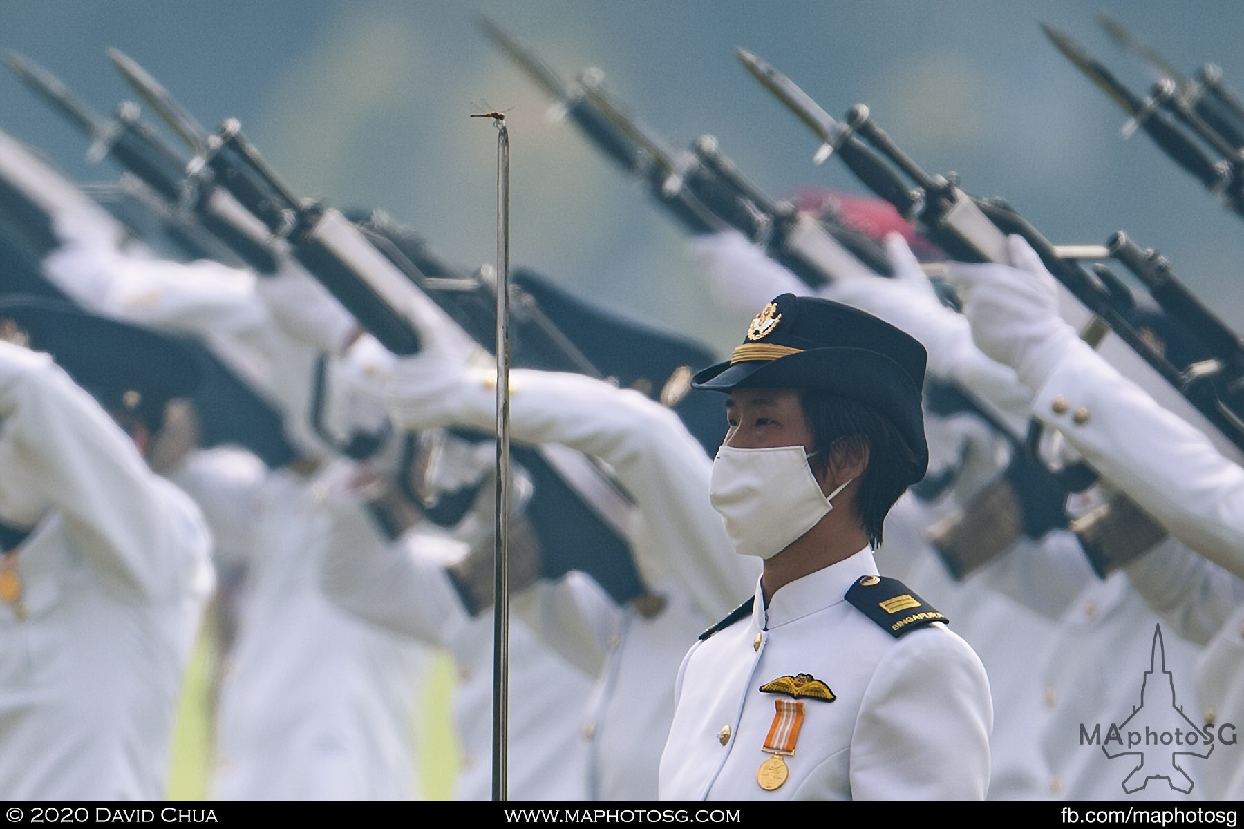 A dragonfly is captured landing on the sword tip of the Air Force Guard of Honour contingent commander.