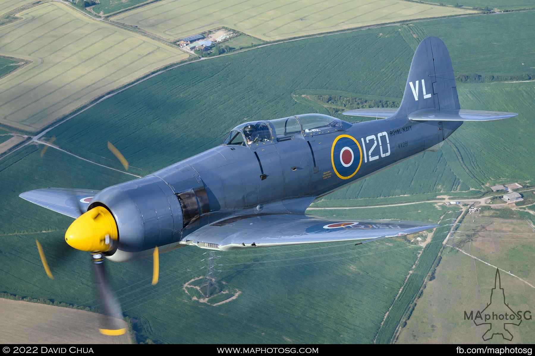 Hawker Sea Fury T20 - Navy Wings Heritage Flight