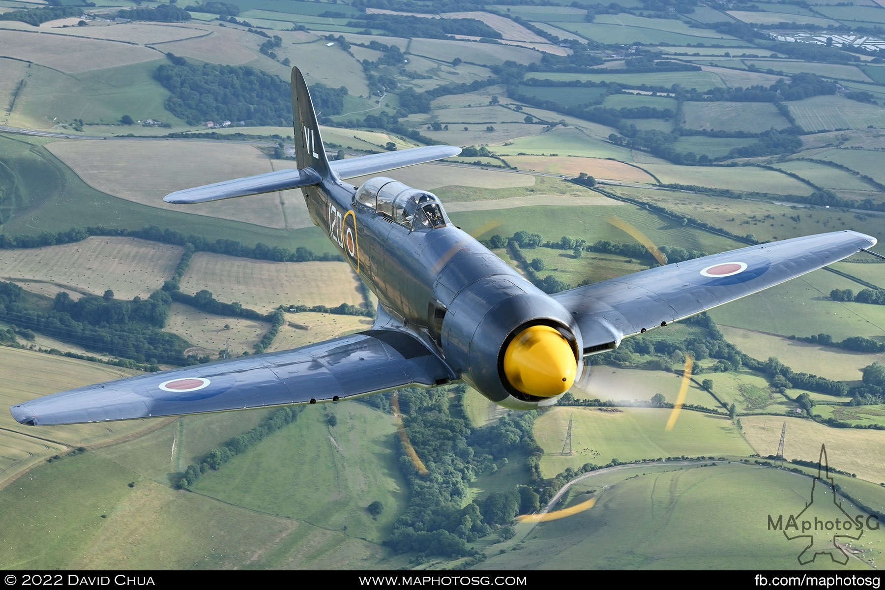 Hawker Sea Fury T20 - Navy Wings Heritage Flight