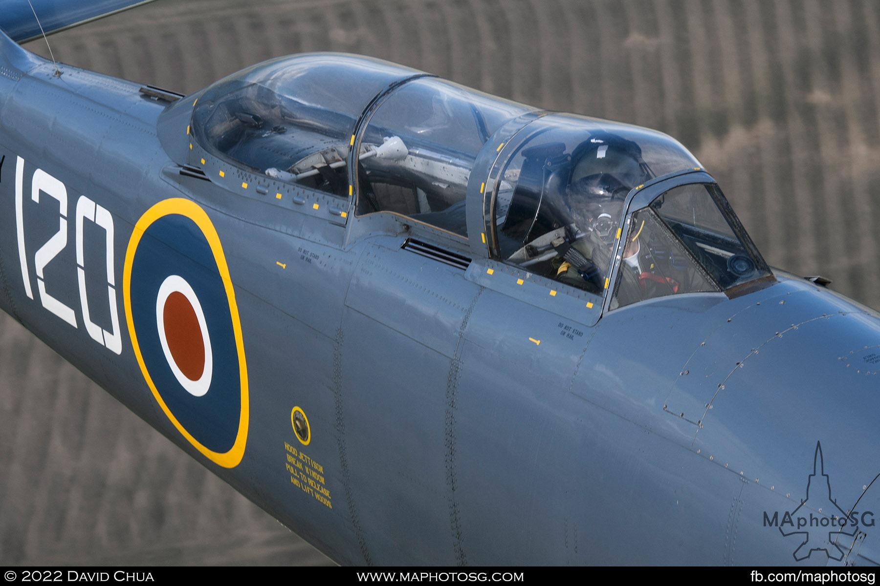 Hawker Sea Fury T20 - Navy Wings Heritage Flight