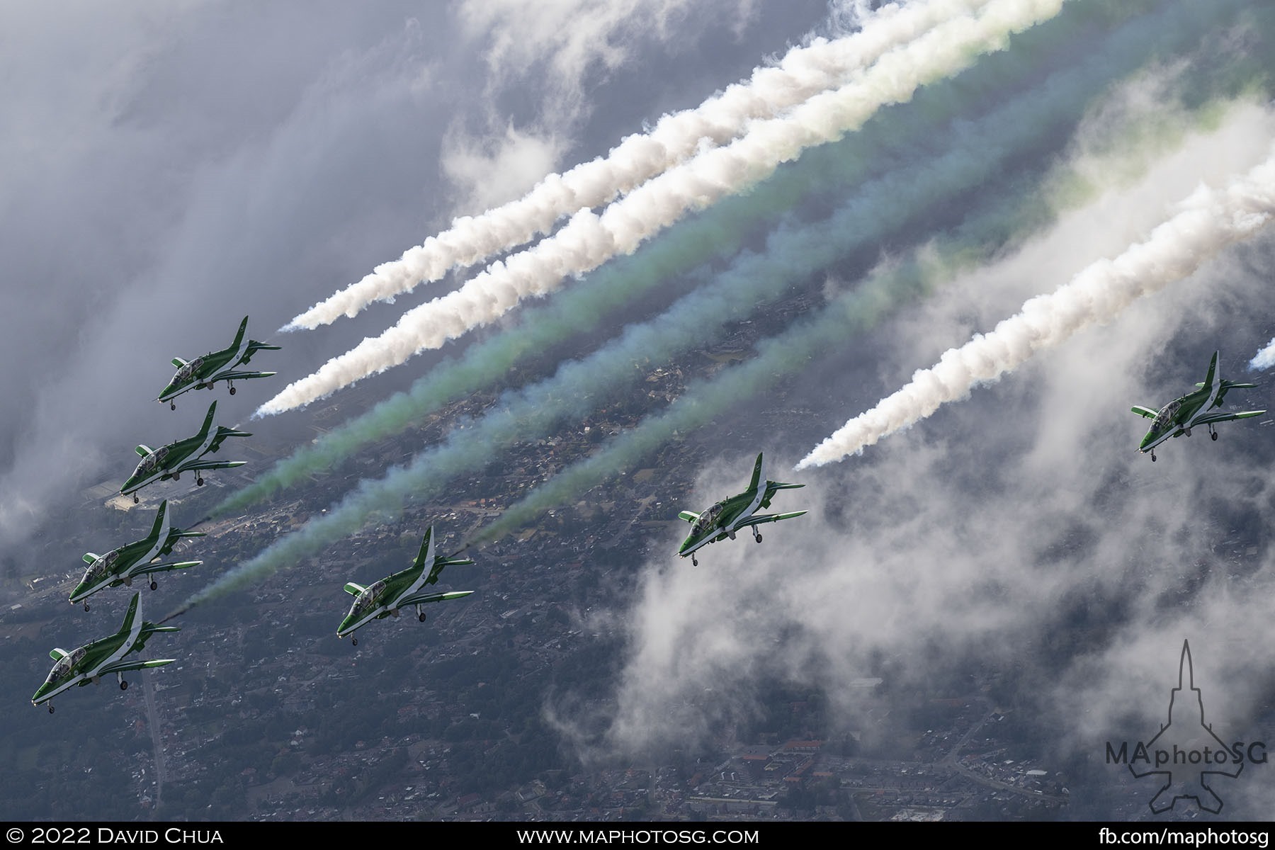 Saudi Hawks