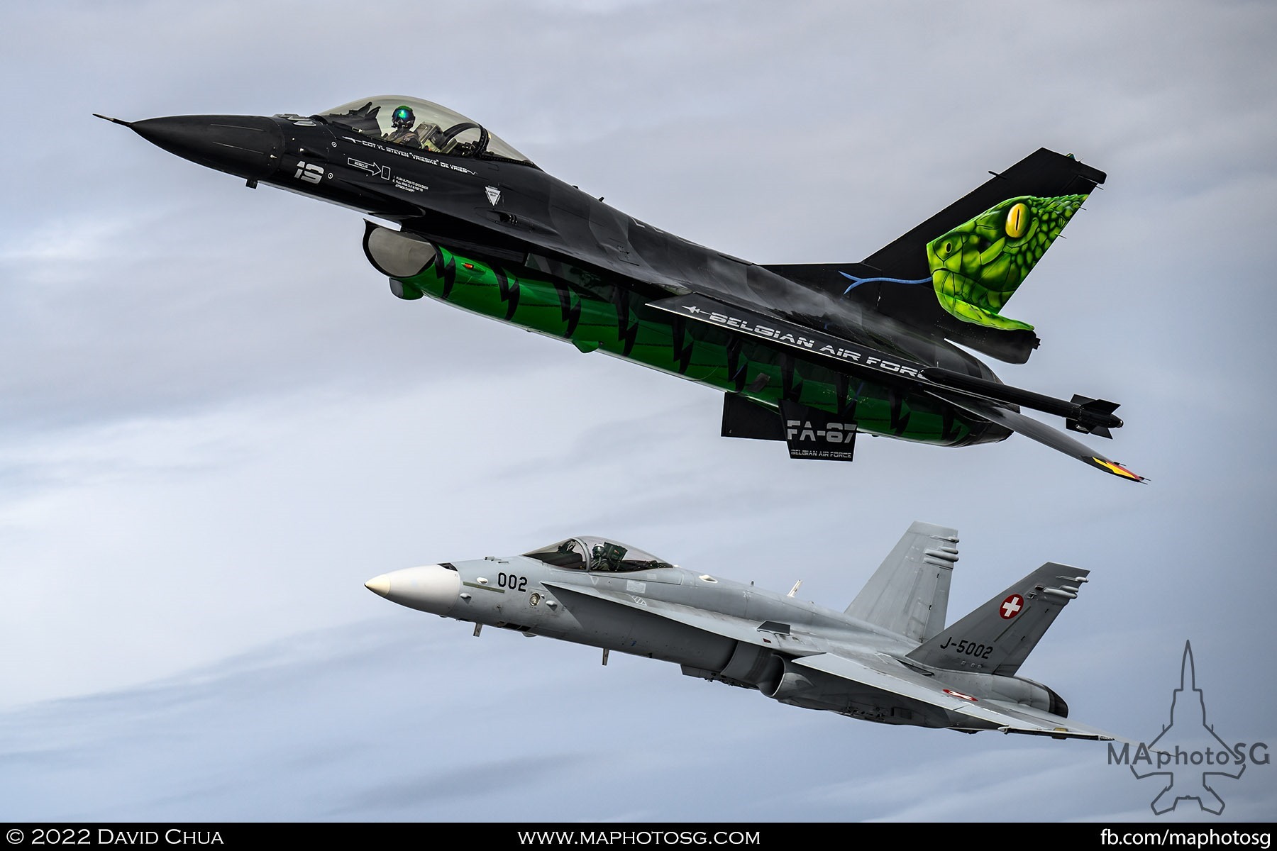 Belgium Air Force F-16 Solo Display Dream Viper and Swiss Air Force F-18C Hornet