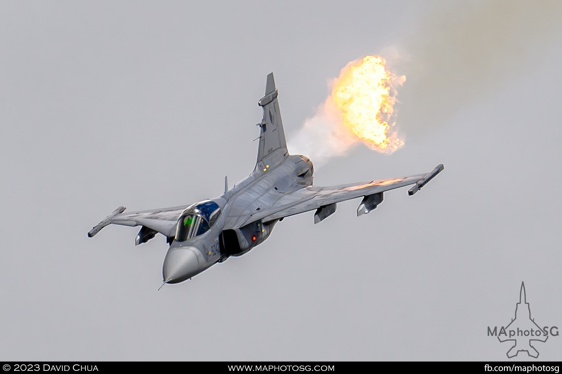 Czech Air Force SAAB JAS-39C Gripen