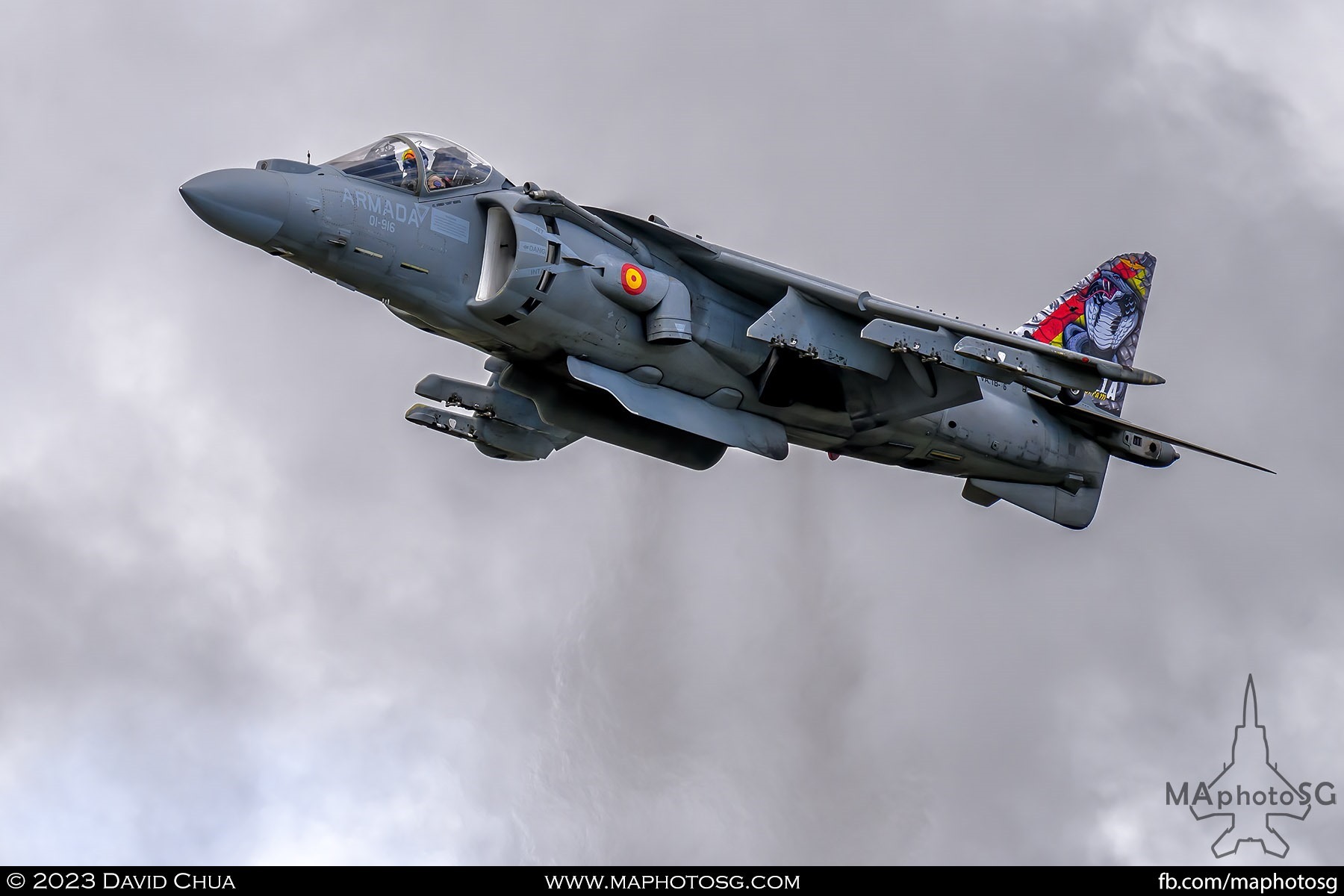 Spanish Navy McDonnell Douglas EAV-8B Matador II