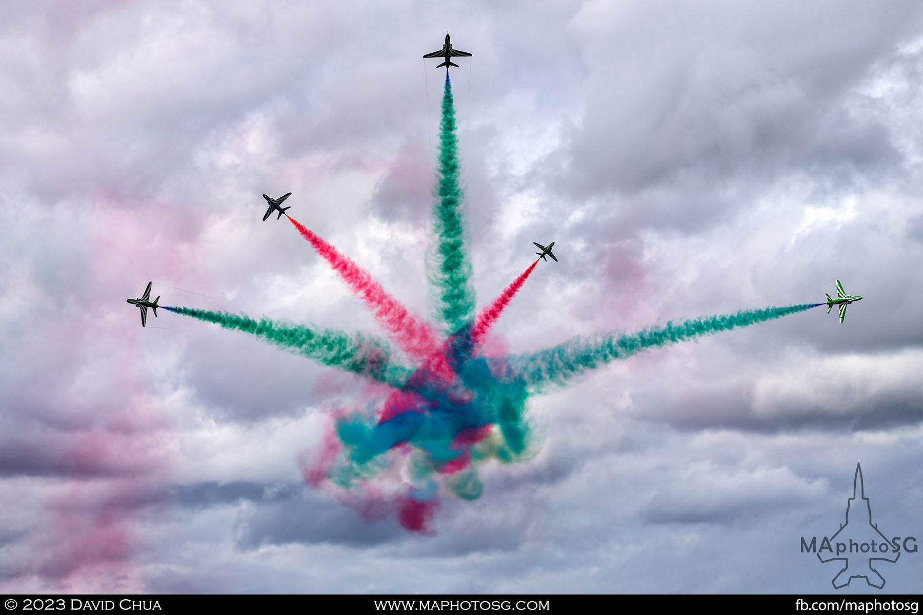 Royal Saudi Air Force 88 Squadron "The Saudi Hawks"; 