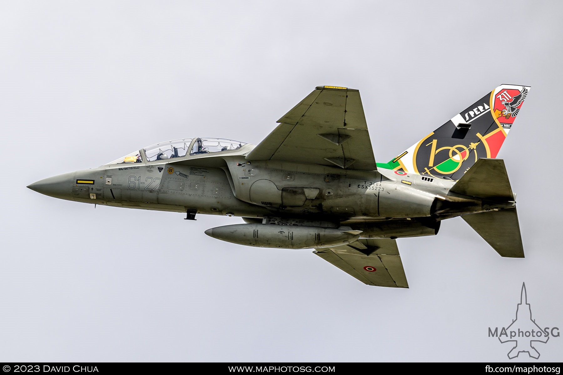 Italian Air Force Leonardo T-346A Master