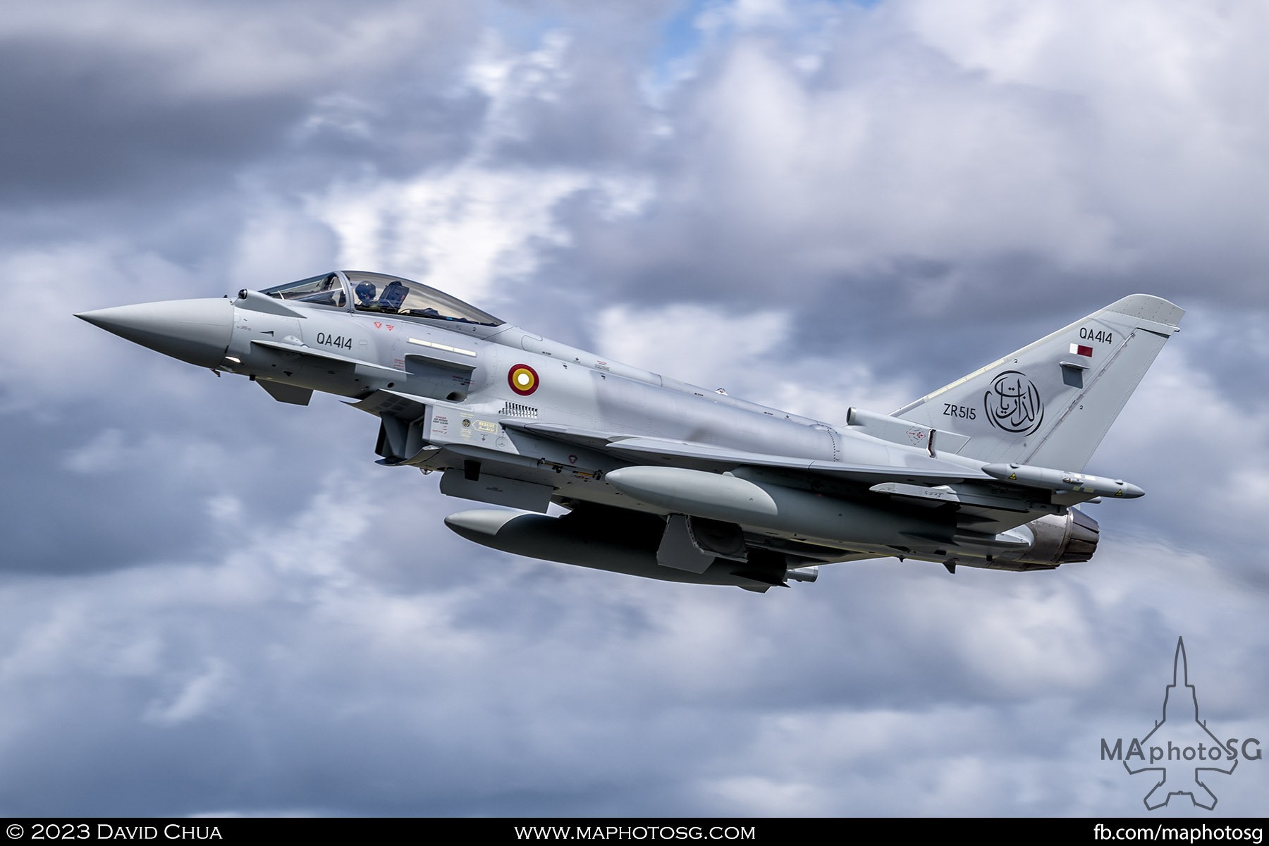 Qatar Emiri Air Force Eurofighter Typhoon