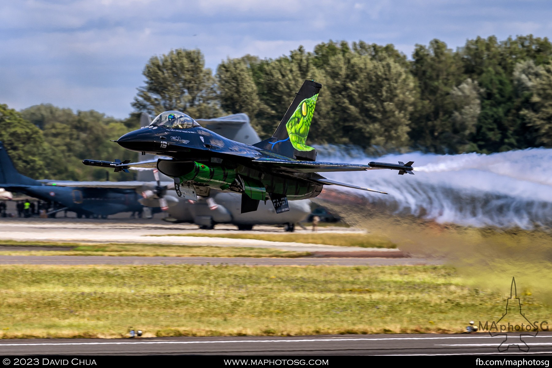 Belgian Air Component F-16AM Solo Display Dream Viper