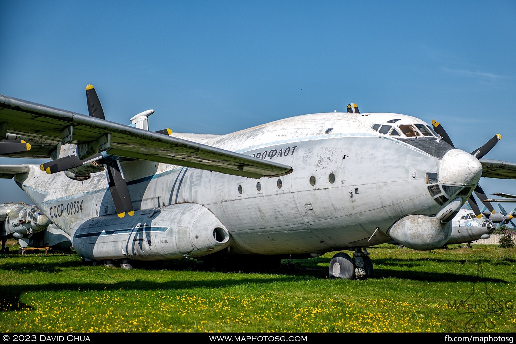 Antonov An-22