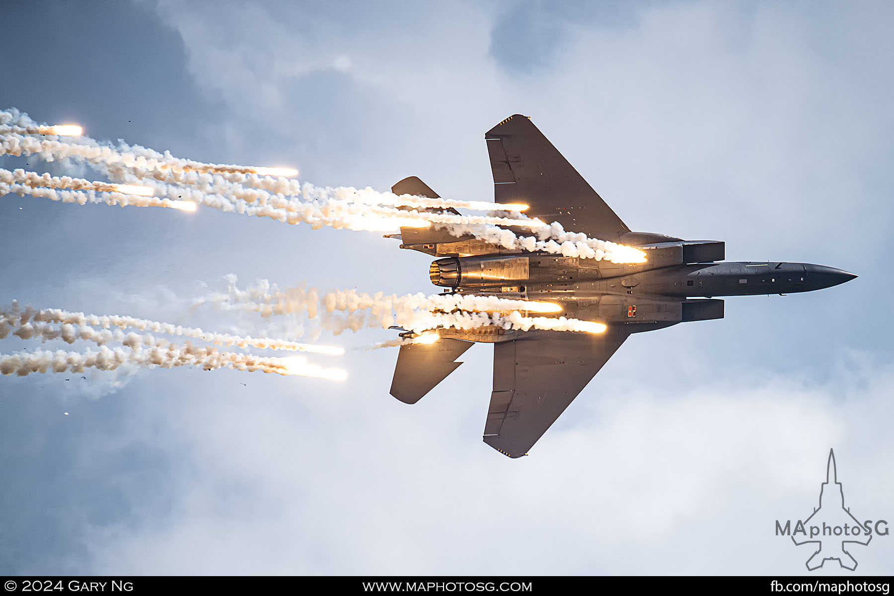 RSAF F-15SG