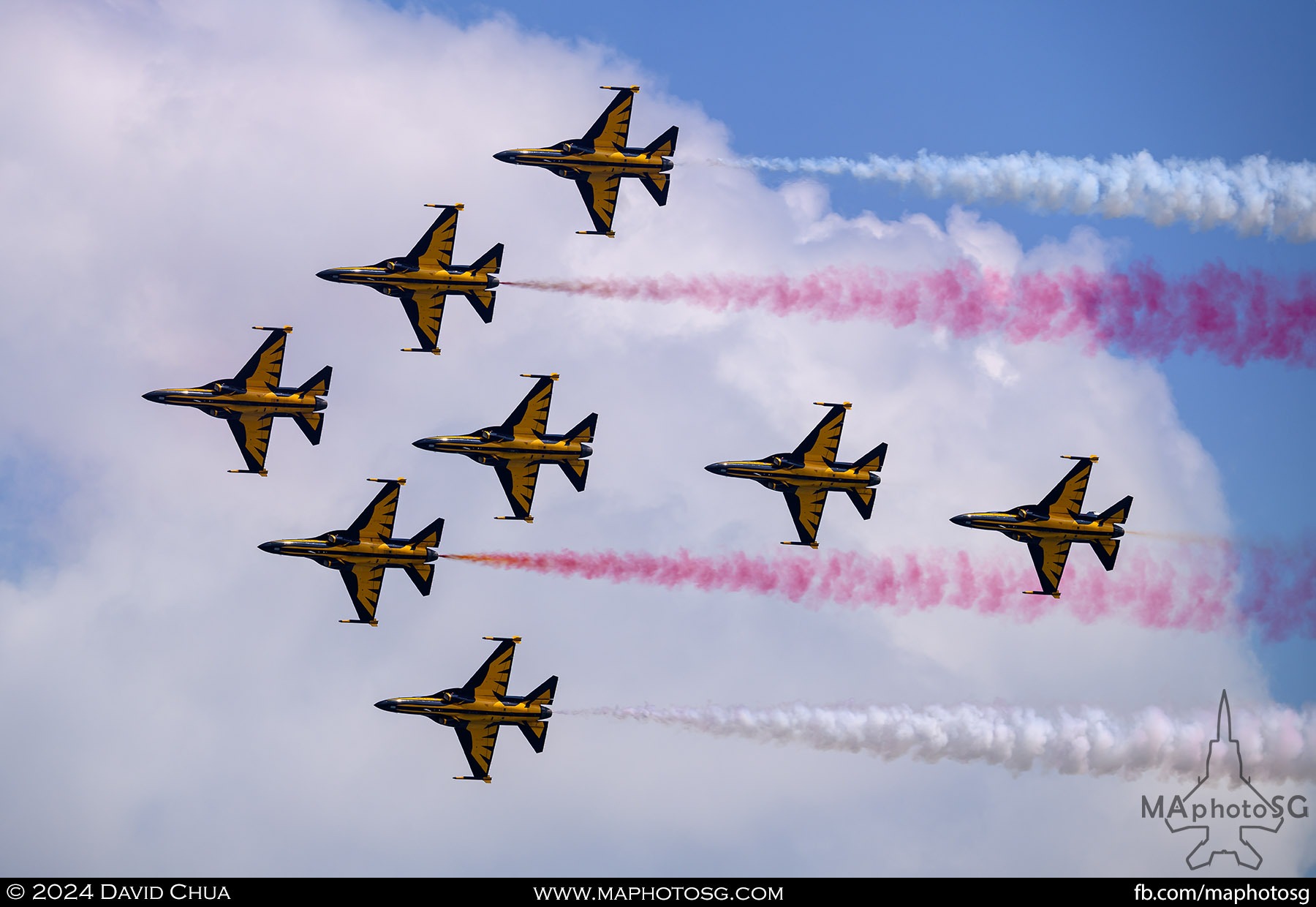 Republic of Korea Air Force Black Eagles