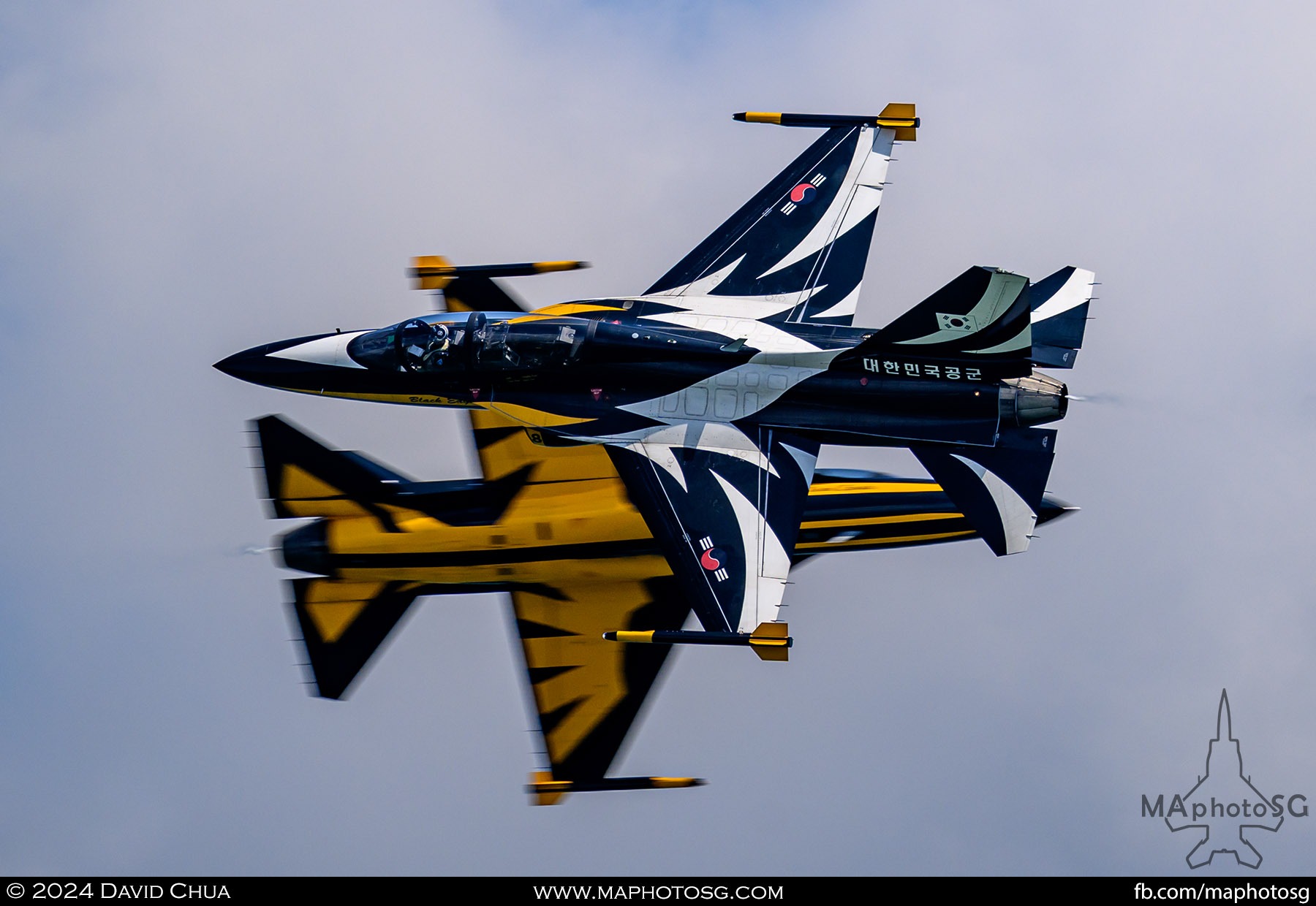 Republic of Korea Air Force Black Eagles