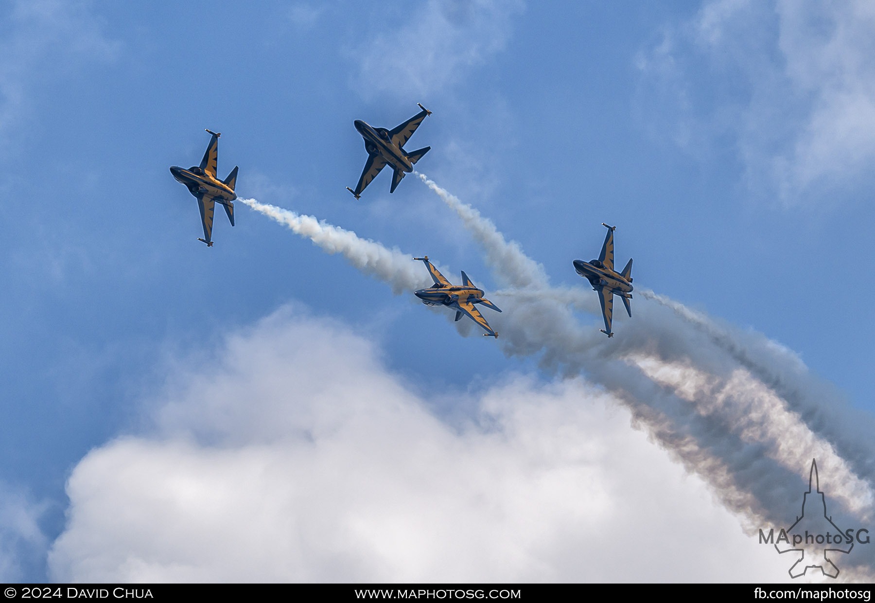 Republic of Korea Air Force Black Eagles
