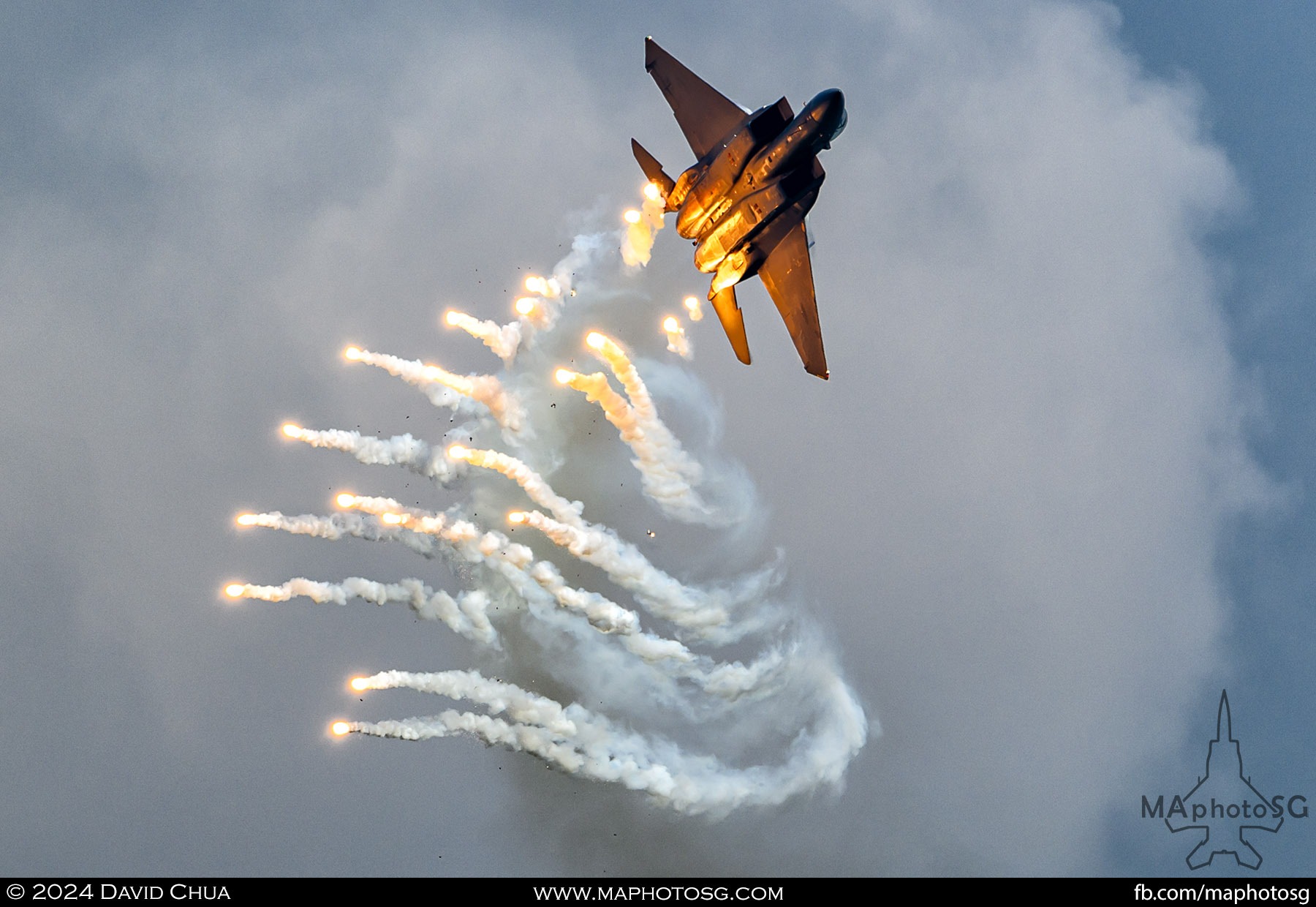 RSAF F-15SG