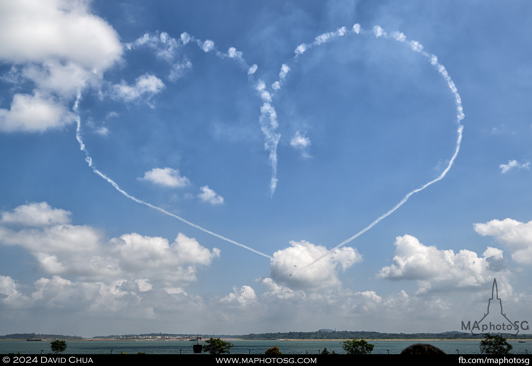 Royal Australian Air Force Roulettes Team