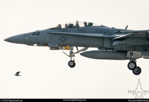 VMFA242 F-18D in Command Sling 16-2     