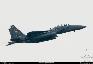 F15SG 1